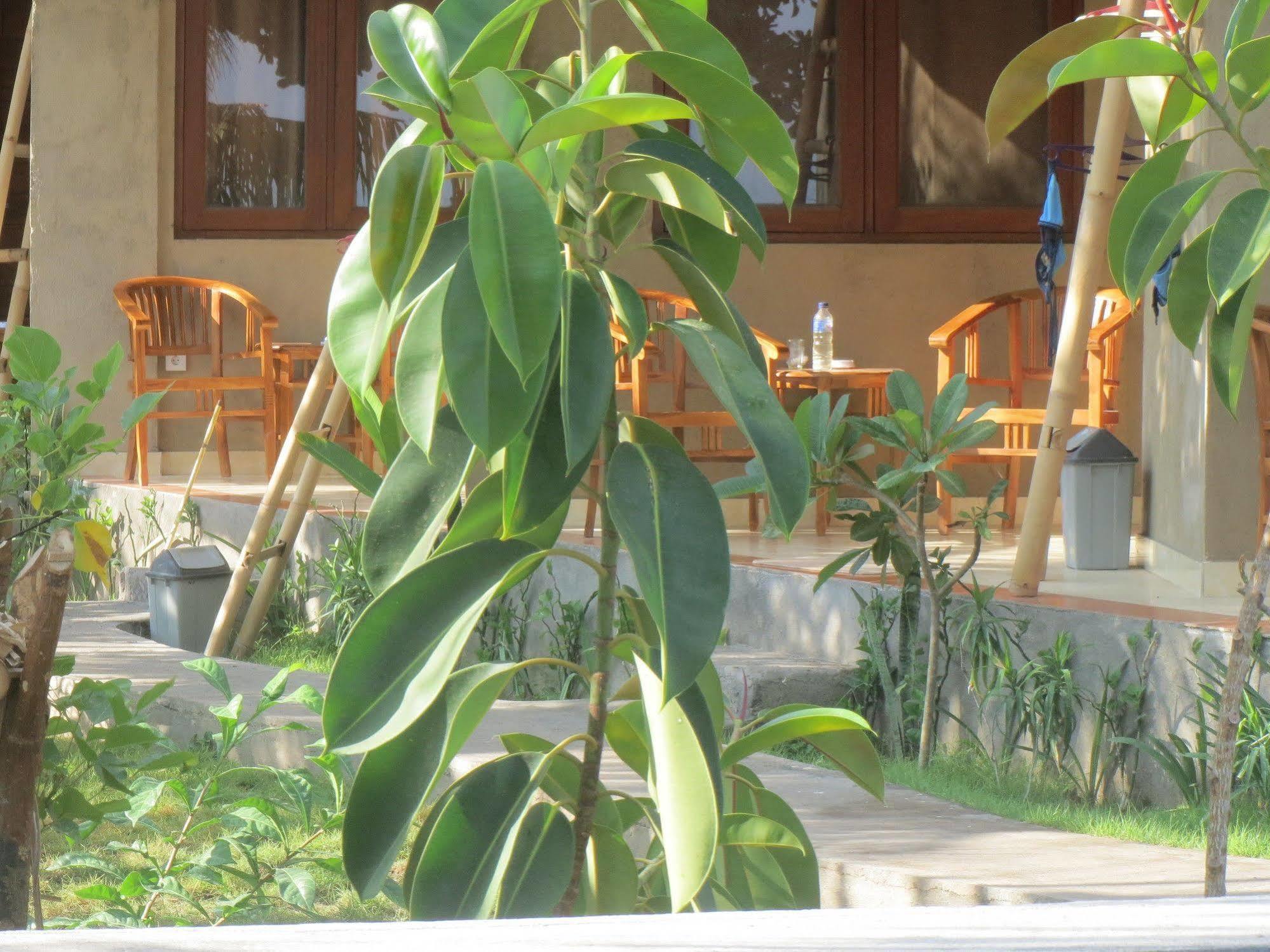Amed Sari Beach Guesthouse Exteriér fotografie