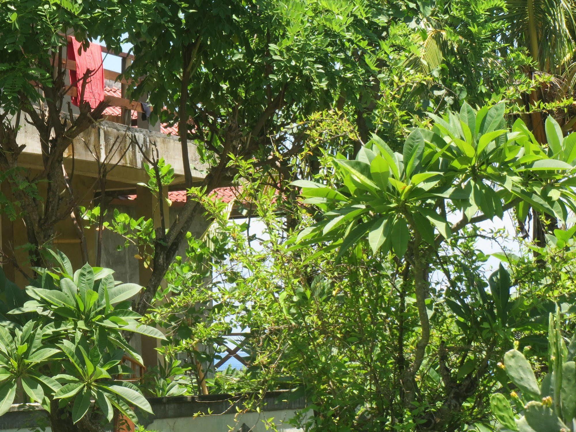 Amed Sari Beach Guesthouse Exteriér fotografie