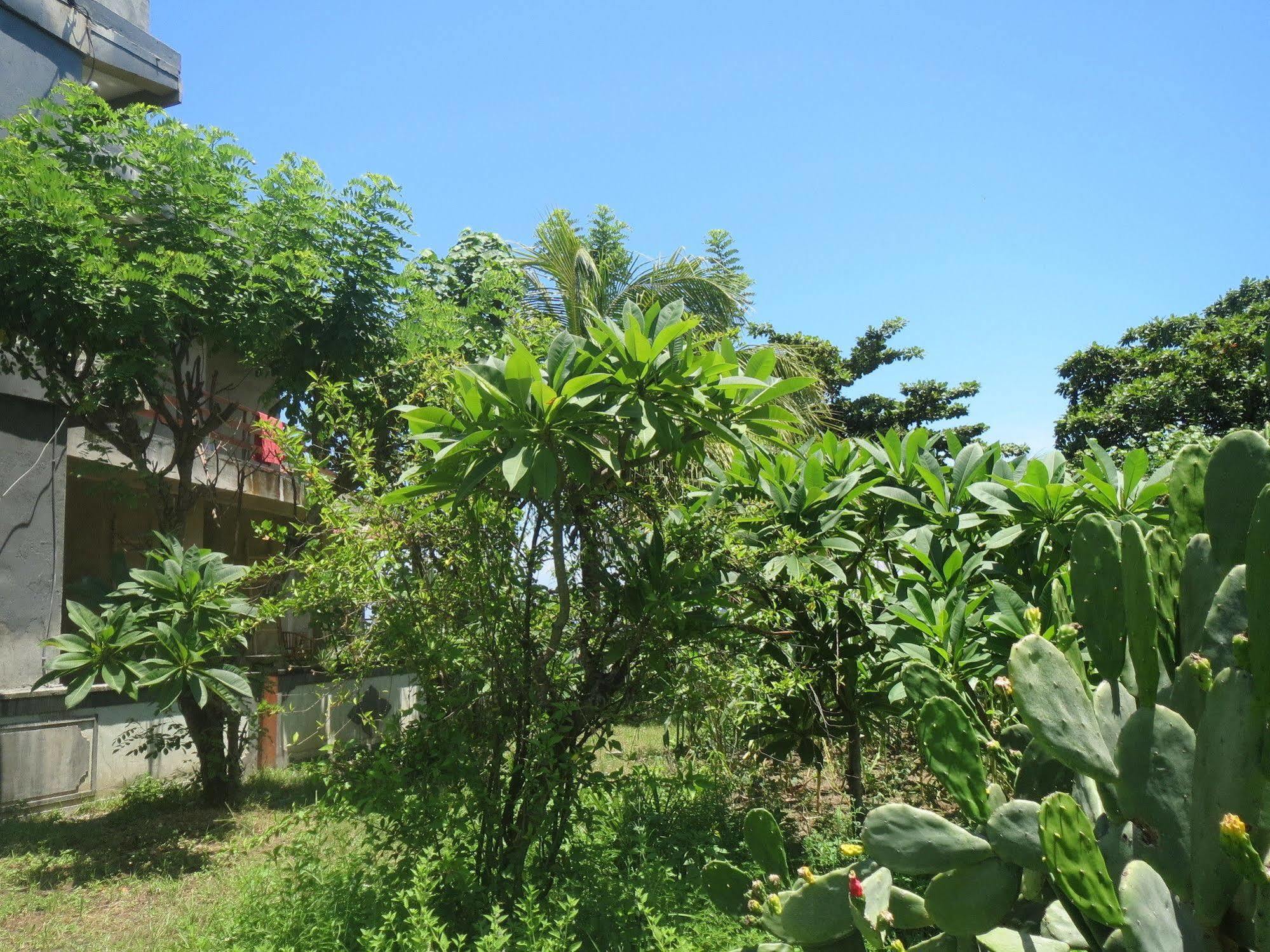 Amed Sari Beach Guesthouse Exteriér fotografie